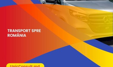 Servicii de transport