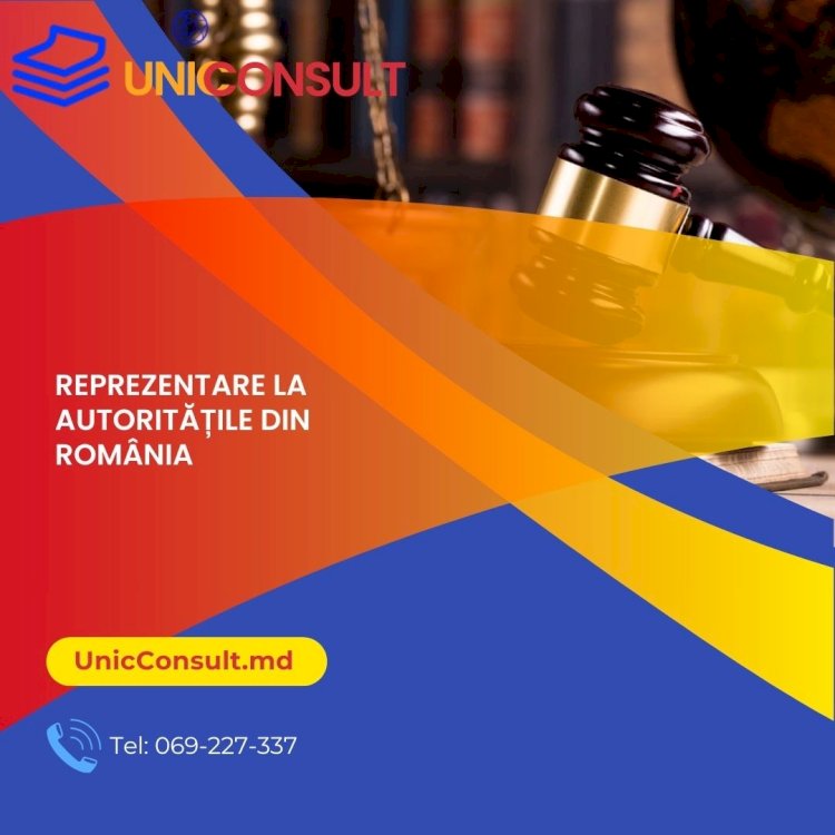 Reprezentare la autoritățile din România